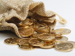 ¿Sabías qué dice la ley de México ante el hallazgo de un tesoro? ¿Sabías qué dice la ley de México ante el hallazgo de un tesoro?