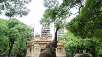 la legislatura portena comienza a debatir el futuro del zoologico porteno la legislatura portena comienza a debatir el futuro del zoologico porteno