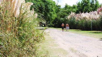 el macrismo busca destinar parte de la reserva ecologica para la basura el macrismo busca destinar parte de la reserva ecologica para la basura