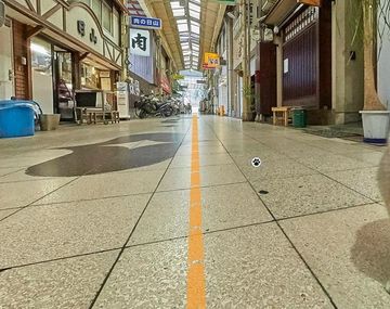 Crean un Street View gatuno en Japón