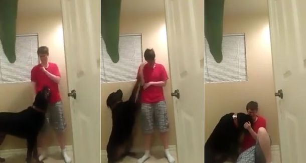 Emocionante video donde una chica autista entra en crisis y su perro la consuela