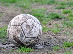 Volvieron los hinchas a las canchas y la scaloneta enamora: cinco libros para seguir empapados de fútbol