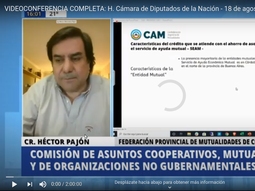 VIDEO: Diputados discutió las  experiencias, desafíos y propuestas del tercer sector para la post pandemia