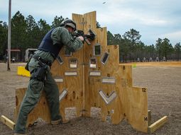 Foto ilustrativa. Foto ilustrativa.