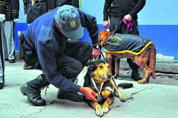 Gentileza diario de Río Negro.