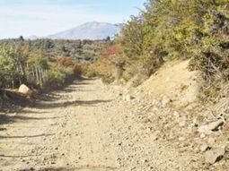 Torso esquel Torso esquel