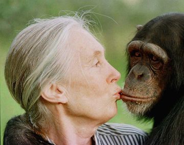 &nbsp;Jane Goodall, la mujer que vivió más de 40 años con monos salvajes