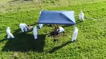 Durante los rastrillajes buscando a Anahí encontramos ocho cuerpos Durante los rastrillajes buscando a Anahí encontramos ocho cuerpos