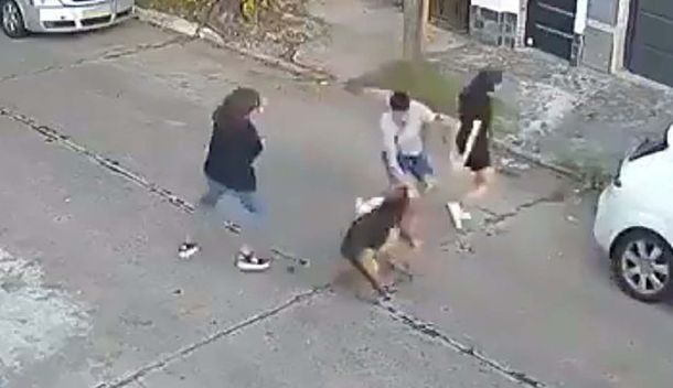 Quién es el culpable si un perro con amo mata otro y cómo frenar una pelea