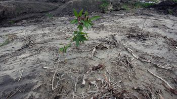 El cambio climático podría causar pérdidas de la capacidad productiva de Uruguay del 14% de su PBI. El cambio climático podría causar pérdidas de la capacidad productiva de Uruguay del 14% de su PBI.