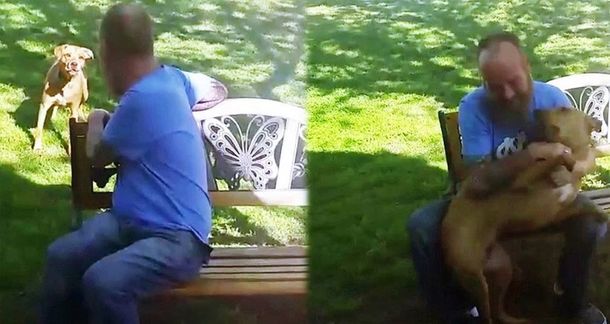 Perdió 25 kilos por una enfermedad y su perro no lo reconoció hasta que lo olió