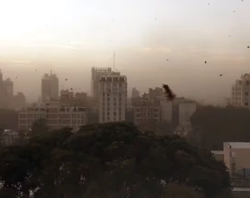 El viento fuerte hace estragos esta tarde en Buenos Aires: la alerta del organismo oficial del tiempo