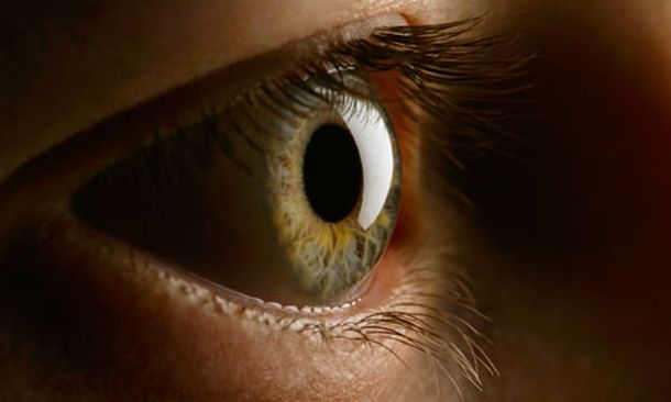 Encuentran una nueva parte del cuerpo humano