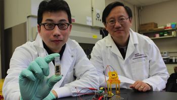 cientificos crean una bateria para celular a base de azucar cientificos crean una bateria para celular a base de azucar