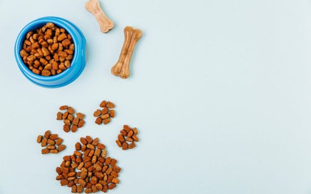 Estas marcas de croquetas debes darle a tus perros, según estudio de la Profeco