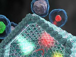 Los cuatro virus llamados Frankestein