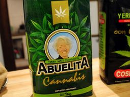 Uruguay venderá yerba mate con cannabis