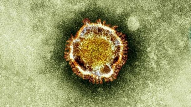 Temor en Reino Unido por un virus altamente letal