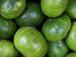 se disparo el precio de los zapallitos y piden no comprar se disparo el precio de los zapallitos y piden no comprar