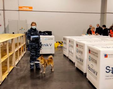 Sputnik V: tras el arribo de la vacuna rusa