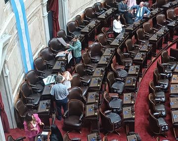 Qué dicen los carteles que pegó el Frente de Izquierda dentro del Congreso