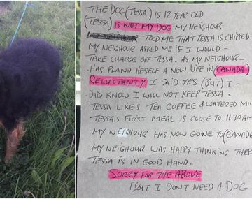 La abandonaron con un carta: No necesito un perro