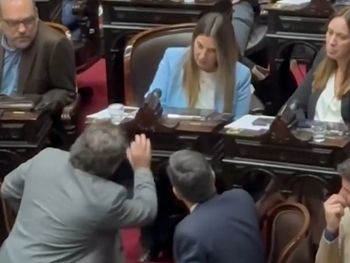 Así le gritaba Ritondo a Lospennato en plena sesión por votar contra los vetos