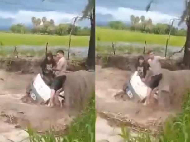 Video: el dramático rescate de una pareja que quedó atrapada en una inundación en Salta