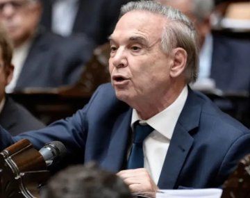 La llamativa reacción de Pichetto al debatir Ficha Limpia: Me...