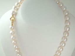 Collar_web