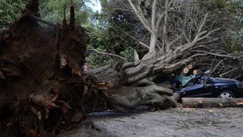 Gentileza RioNegro.com.ar Gentileza RioNegro.com.ar