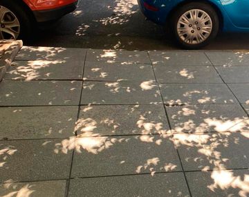 VIDEO: El increíble efecto que tuvo el eclipse solar en la sombra de los árboles y un estenopo