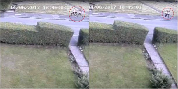 Intento de violación