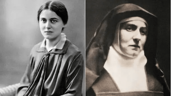 Santa Teresa Benedictade la Cruz. Santa Teresa Benedictade la Cruz.