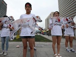 corea del norte celebro un concurso gastronomico de perros corea del norte celebro un concurso gastronomico de perros