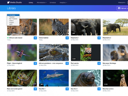 twitter lanzo media studio, una herramienta para gestionar contenidos multimedia twitter lanzo media studio, una herramienta para gestionar contenidos multimedia