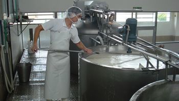 lacteos capaces de prevenir enfermedades llegan a las gondolas lacteos capaces de prevenir enfermedades llegan a las gondolas