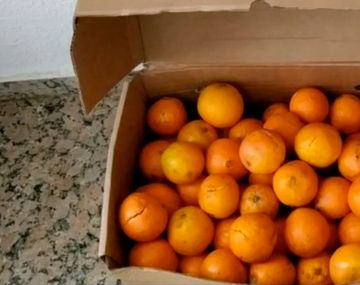 Para no pagar multa por exceso de equipaje se comieron 30 kilos de naranjas