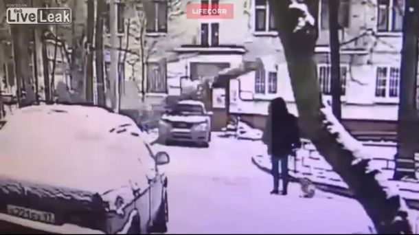 Murió una joven a la que se le cayó un árbol en la cabeza