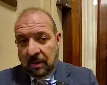 Fuerte denuncia de diputado libertario: Todos los hechos de corrupción tienen el apellido Menem