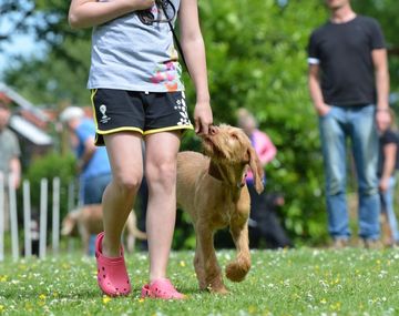 ¿Por qué queremos a nuestras mascotas y nos comemos a otros animales?
