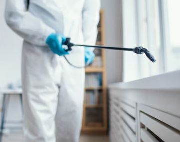 Este truco casero te ayudará a eliminar cualquier tipo de plaga de inmediato.&nbsp;