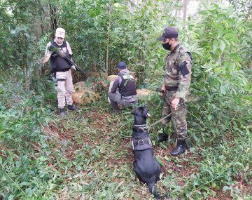 Prefectura desarticuló una operación de narcotráfico y secuestró más de una tonelada de marihuana