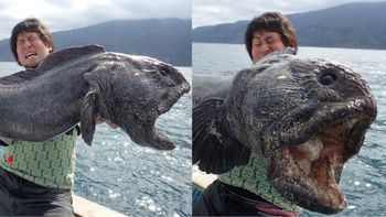 fue a pescar cerca de fukushima y saco un pez de apariencia prehistorica fue a pescar cerca de fukushima y saco un pez de apariencia prehistorica