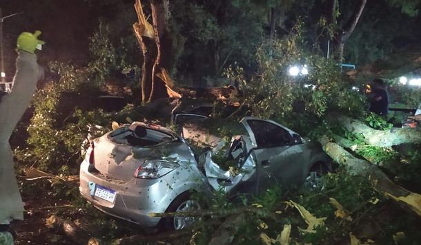 Fuerte temporal en Jujuy provocó caída de árboles, autos destruidos y daños en casas