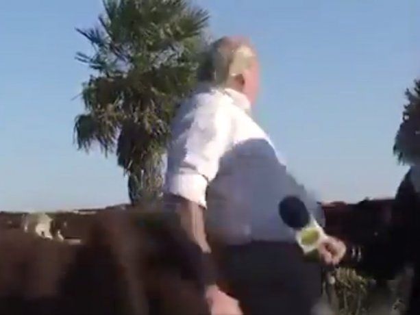 VIDEO: El insólito blooper viral del Canal Rural