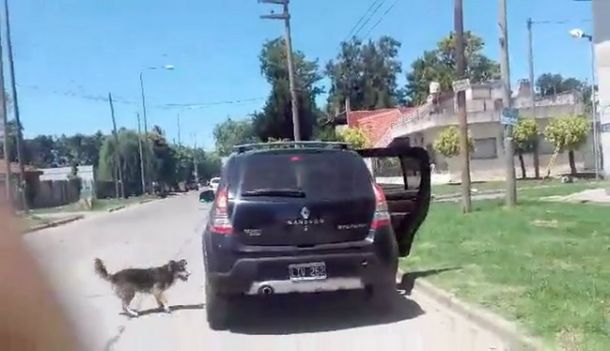 VIDEO: Un perro abandonado persiguió el auto de sus dueños por 15 cuadras y ni se inmutaron