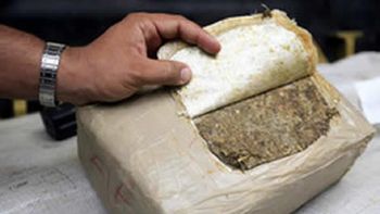 Encontró 52 kilos de marihuana en su patio - Imagen ilustrativa Encontró 52 kilos de marihuana en su patio - Imagen ilustrativa