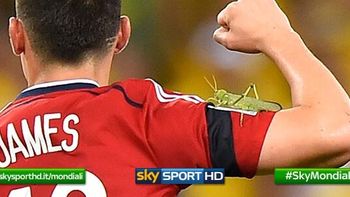 un grillo se poso en el hombro de james rodriguez en pleno festejo cafetero un grillo se poso en el hombro de james rodriguez en pleno festejo cafetero