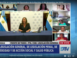 Diputados avanzará con la legalización del aborto tras las reuniones informativas